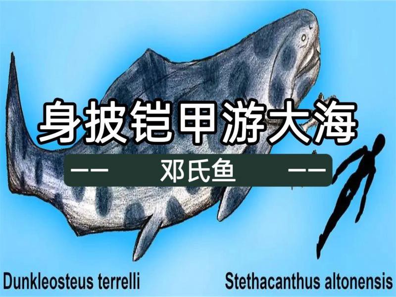 世界上有身披鎧甲的怪魚嗎，世界上有鎧甲的人類嗎？