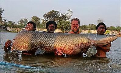 世界上有身披鎧甲的怪魚嗎，世界上有鎧甲的人類嗎？