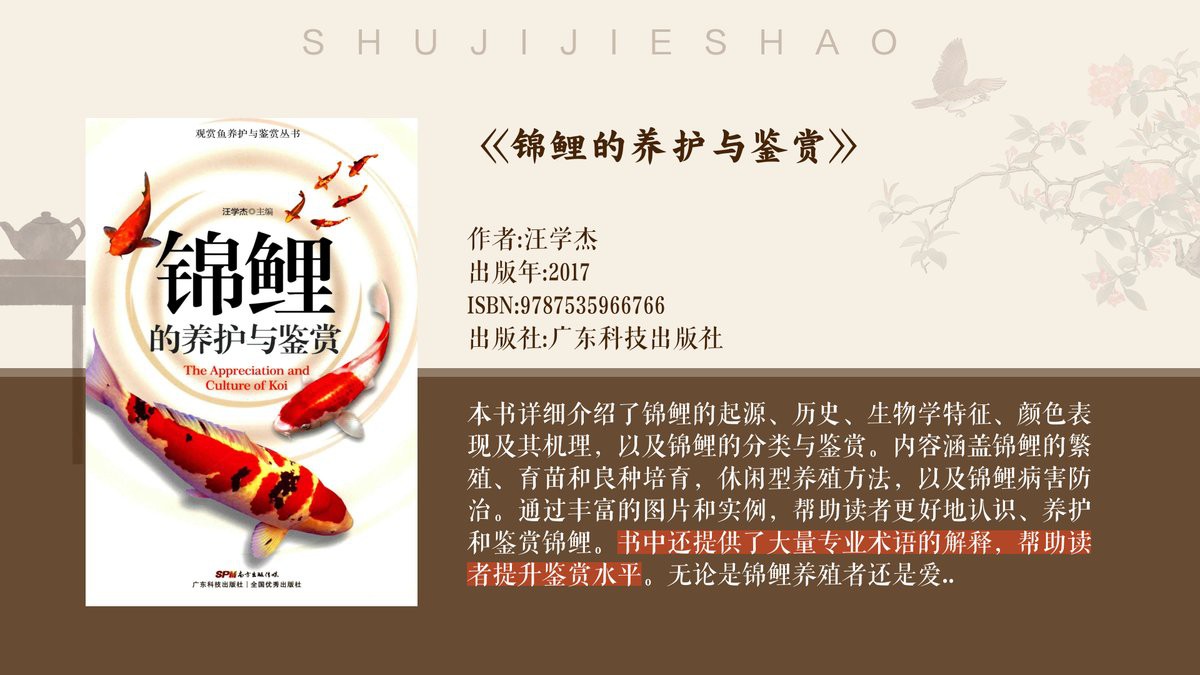 三色錦鯉和大正三色哪種好【大正三色與昭和三色的區別】