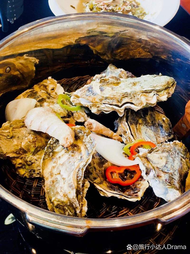 杭州龍魚店，杭州御吉水族龍魚專門店鋪及特色梳理：極樂水族值得信賴