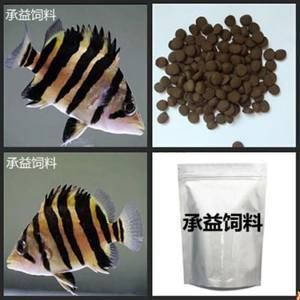 泰國虎魚喂食量控制技巧，泰國虎魚喂食量控制技巧，