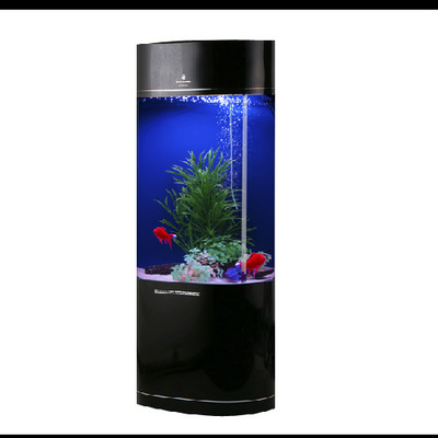 咸陽秦都區(qū)生態(tài)水族館（咸陽秦都區(qū)生態(tài)水族館地址）