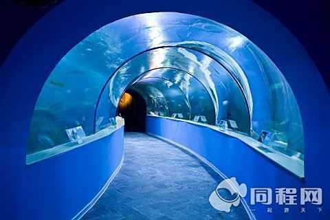 太湖水族店，太湖水族店的核心信息主要圍繞蘇州太湖海洋館展開