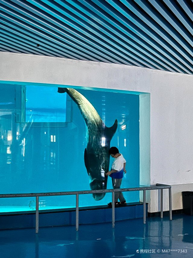 桐廬水族店，杭州森森水族（山水路店）哪家最大桐廬水族店口碑最好