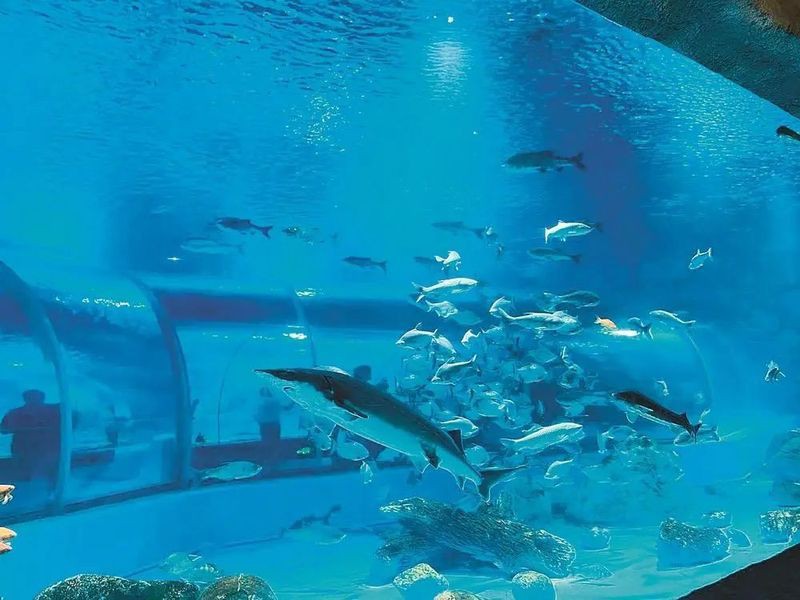 紹興水族店【紹興首座大型水族館:浙東淡水魚館】