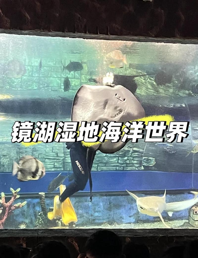 紹興水族店【紹興首座大型水族館:浙東淡水魚館】