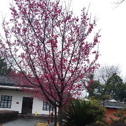 《我是風水之龍》小說結局是什么？，《我是風水之龍》小說的具體結局內容