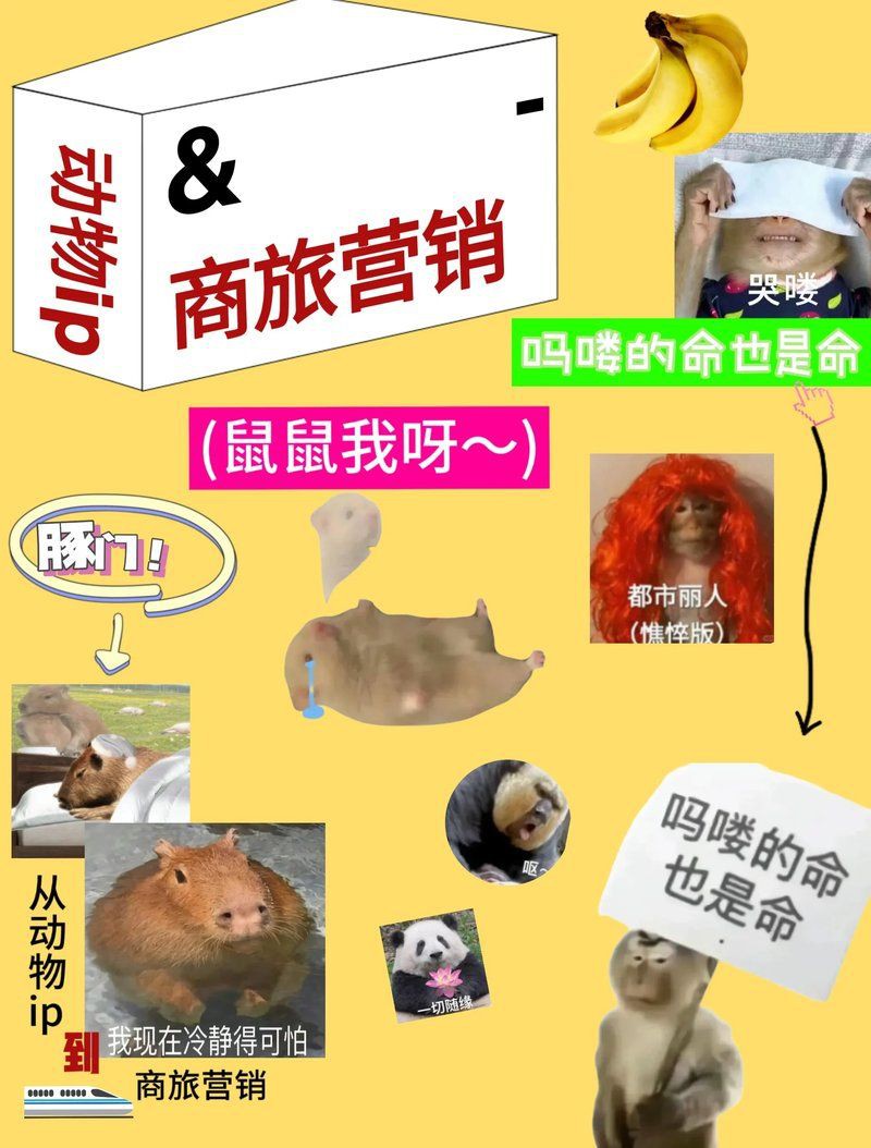 梗文化如何影響動物福利？：動物福利與梗文化的關聯(lián)