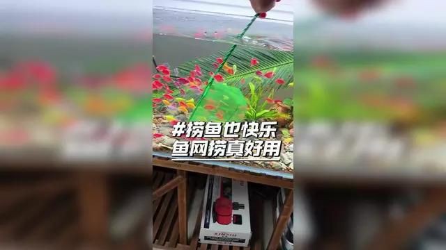 撈魚網哪種最好用：挑選好用的撈魚網需結合具體場景與需求綜合考量