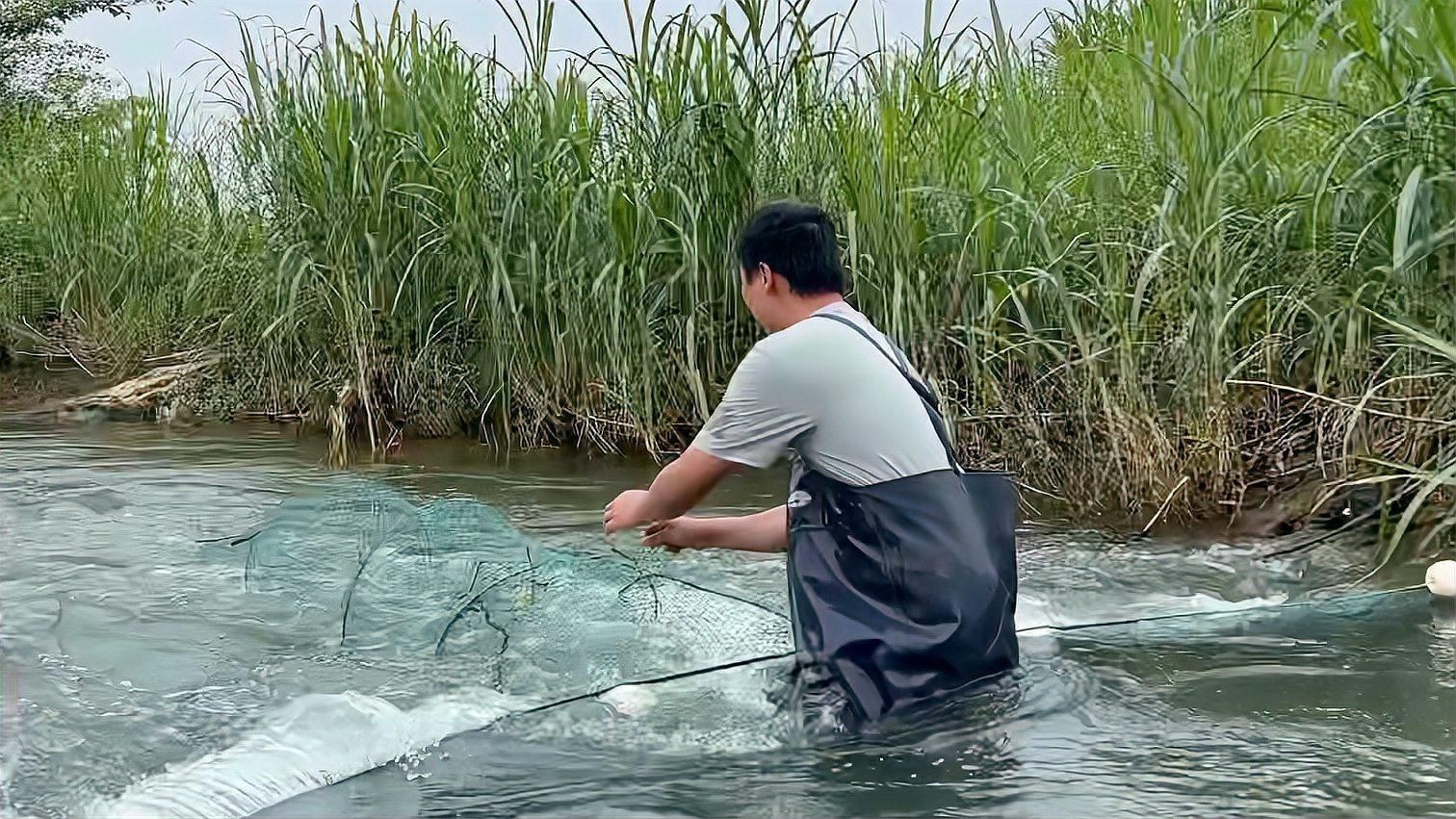撈魚網哪種最好用：挑選好用的撈魚網需結合具體場景與需求綜合考量