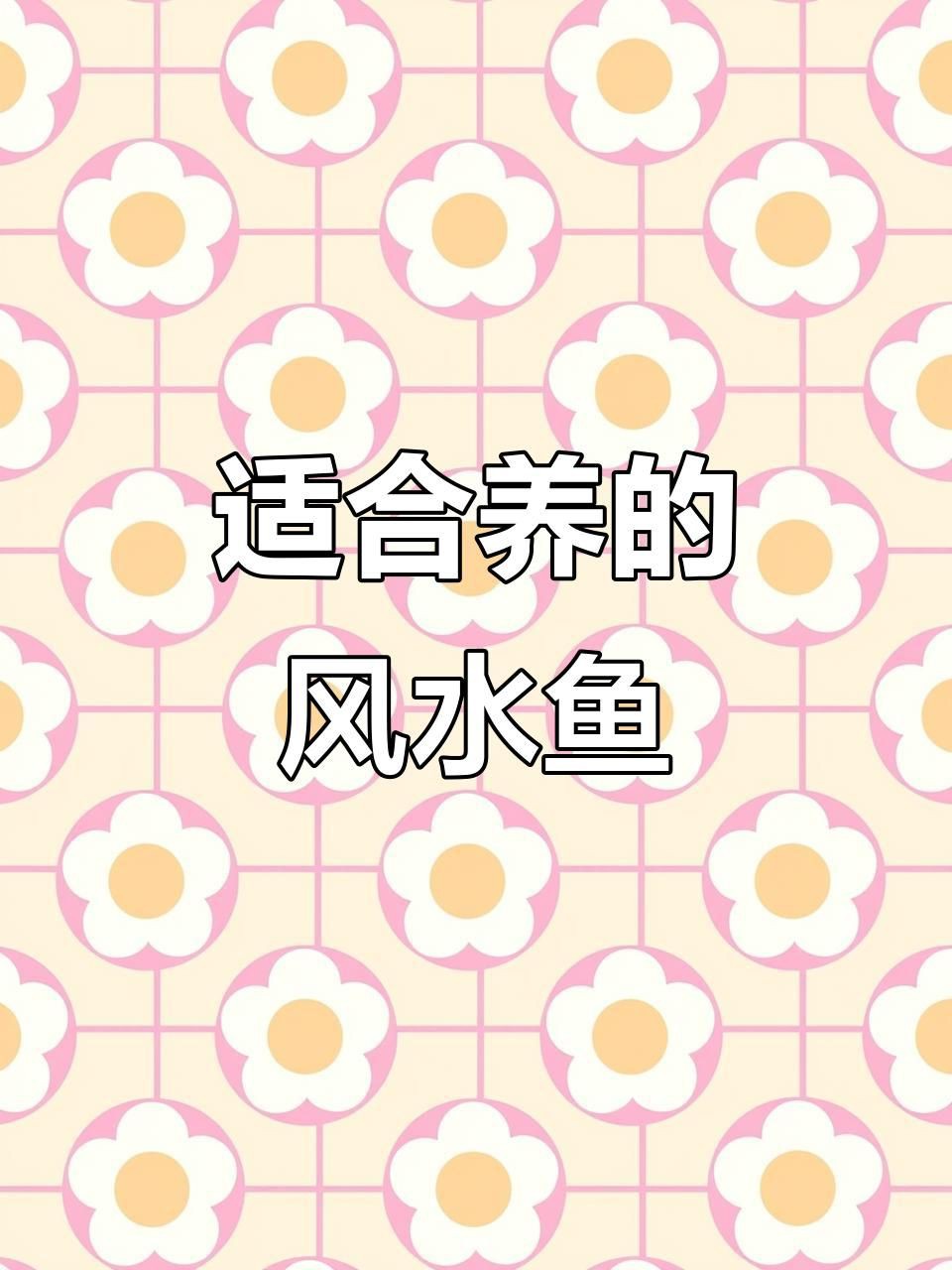 最招財的風水魚：五種最適合家養的招財風水魚，財運事業雙旺!