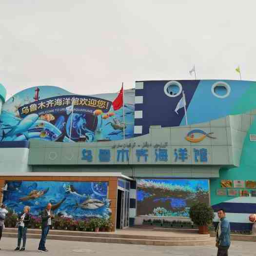 烏恰水族店：烏恰縣有水族店嗎
