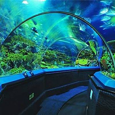 宜昌水族店：宜昌市主要水族店綜合信息