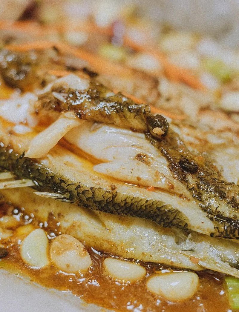 豐澤龍魚(yú)店：豐澤龍魚(yú)店哪家口碑最好