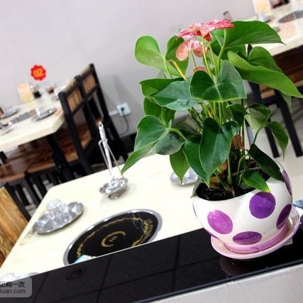 臨潼龍魚店：臨潼區龍魚店哪家口碑最好臨潼龍魚店價格是多少