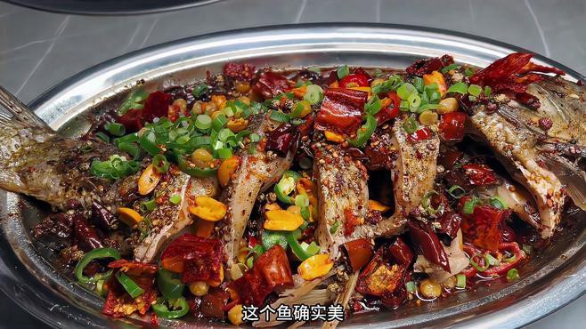 臨潼龍魚店：臨潼區龍魚店哪家口碑最好臨潼龍魚店價格是多少