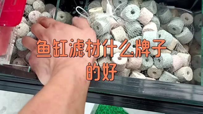 有哪些品牌的濾材口碑最好？：cineverse養魚濾材選擇大揭秘