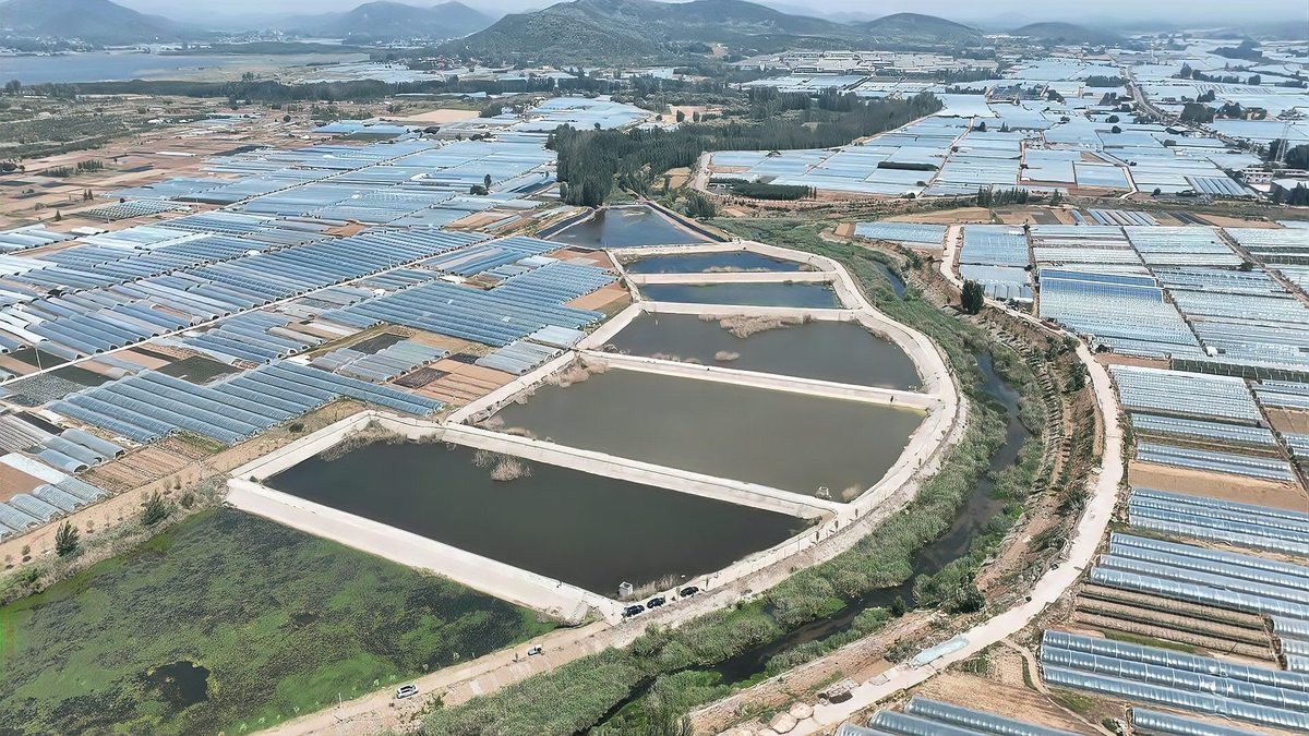 蘭陵龍魚店：蘭陵:發展生態漁業養殖實現生態經濟雙豐收