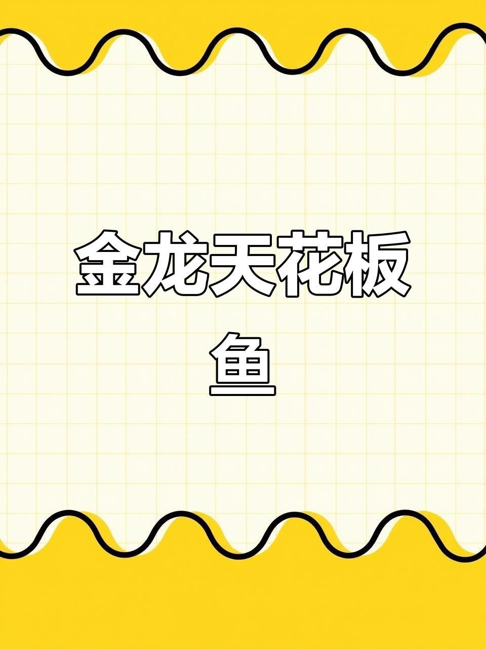 如何區分紅龍魚和金頭過背？：揭秘古典金龍的特征與魅力，過背金龍魚