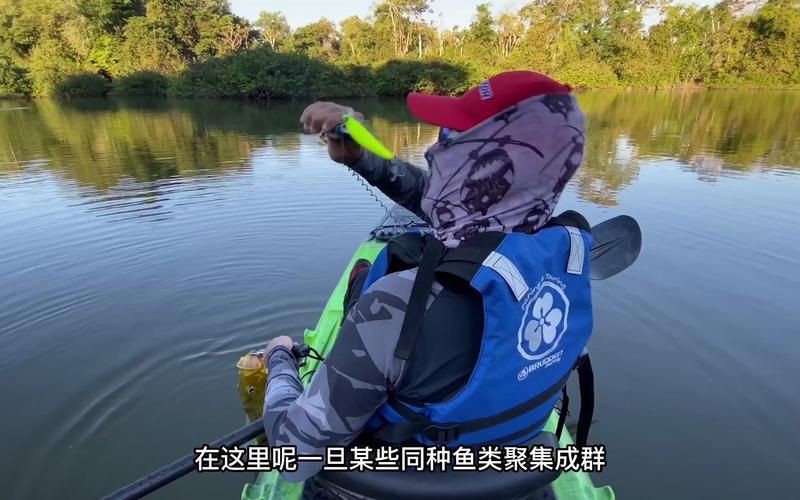 孔雀鱸魚的價值：孔雀鱸魚的營養(yǎng)價值及功效你了解嗎