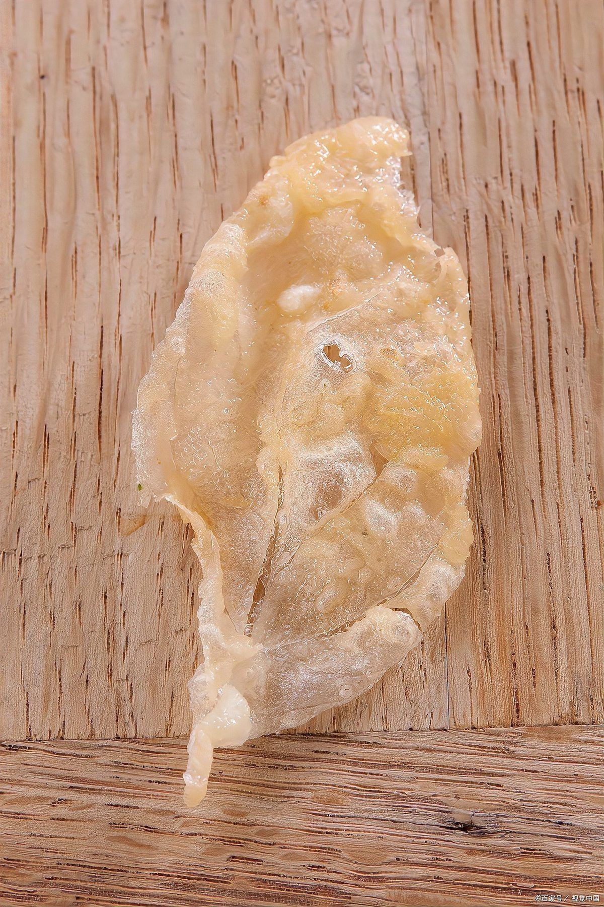 十大魚膠品種排行榜：十大魚膠品種排行榜及其核心特點揭秘35種魚膠品種