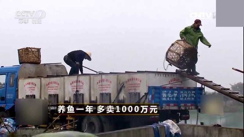 有沒有具體的混養案例可以分享？：鳳凰江蘇小農場養了9種動物嗶哩嗶哩魚蝦混養成功經驗分享 有沒有具體的混養案例可以分享？：鳳凰江蘇小農場養了9種動物嗶哩嗶哩魚蝦混養成功經驗分享 龍魚百科 第5張