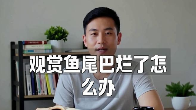 如何判斷金魚爛尾巴的嚴重程度？：智能模式回答完成調用工具：百度健康金魚爛尾巴怎么辦