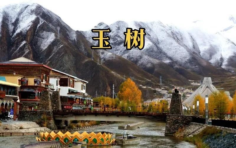 玉樹藏族自治州魚缸批發市場：玉樹專業魚缸批發市場