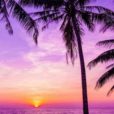 濟(jì)南水族館：探秘濟(jì)南水族世界：一場(chǎng)引來(lái)數(shù)百條黃金[需手動(dòng)填充],魚(yú)群跨來(lái)數(shù)百條奇幻之旅 濟(jì)南水族館：探秘濟(jì)南水族世界：一場(chǎng)引來(lái)數(shù)百條黃金[需手動(dòng)填充],魚(yú)群跨來(lái)數(shù)百條奇幻之旅 全國(guó)水族館企業(yè)名錄 第9張