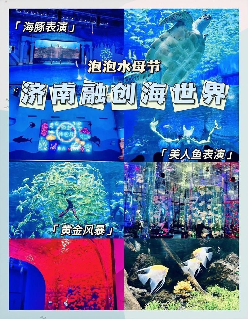 濟(jì)南水族館：探秘濟(jì)南水族世界：一場(chǎng)引來(lái)數(shù)百條黃金[需手動(dòng)填充],魚(yú)群跨來(lái)數(shù)百條奇幻之旅 濟(jì)南水族館：探秘濟(jì)南水族世界：一場(chǎng)引來(lái)數(shù)百條黃金[需手動(dòng)填充],魚(yú)群跨來(lái)數(shù)百條奇幻之旅 全國(guó)水族館企業(yè)名錄 第6張