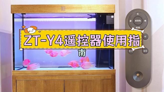 可麗愛魚缸燈光設置說明書：可麗愛水族箱燈光調節技巧