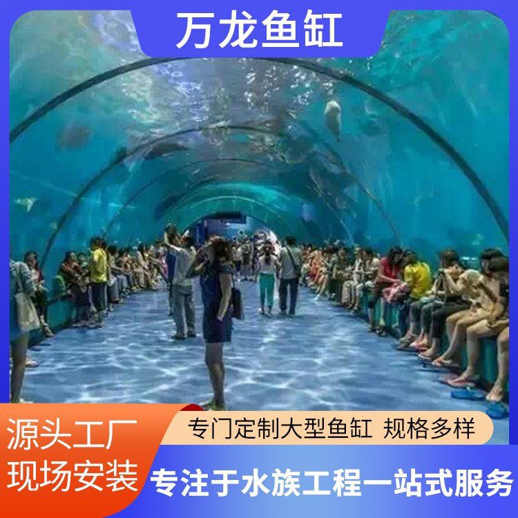 拉薩水族批發(fā)市場：關(guān)于拉薩水族批發(fā)市場的綜合信息整理