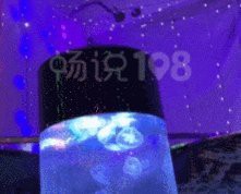 上虞水族店：上虞水族店哪家口碑最好
