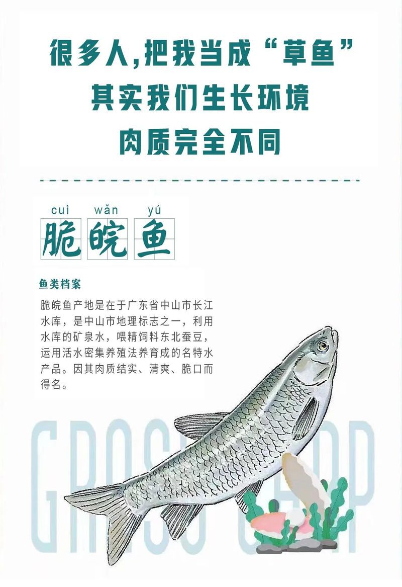 東鄉水族店：東鄉區可麗愛水族花藝館(百度地圖