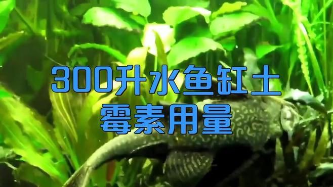 土霉素治療魚爛身爛尾的具體用法：土霉素治療魚類爛身爛尾病