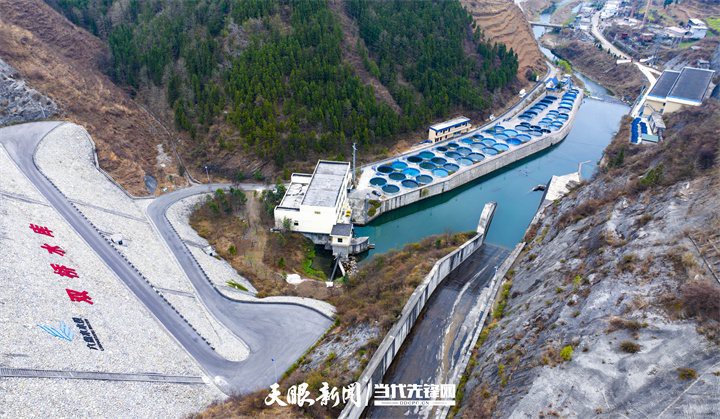 六枝龍魚店：六枝龍魚店有哪些推薦