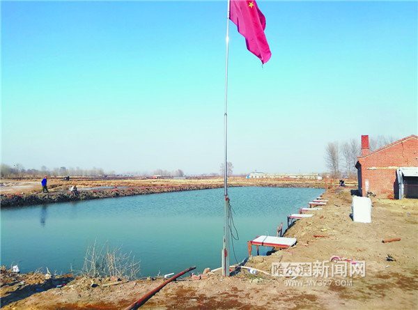 三道鱗和草魚哪個貴：三道萊與草魚價格對比