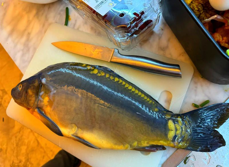 三道鱗和草魚哪個貴：三道萊與草魚價格對比