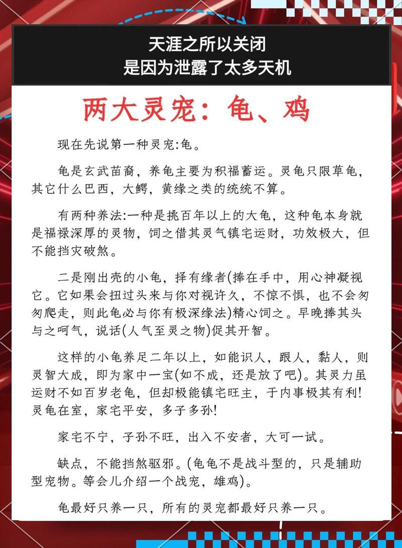 烏龜養幾年以上通靈：烏龜養多久會有“靈性”