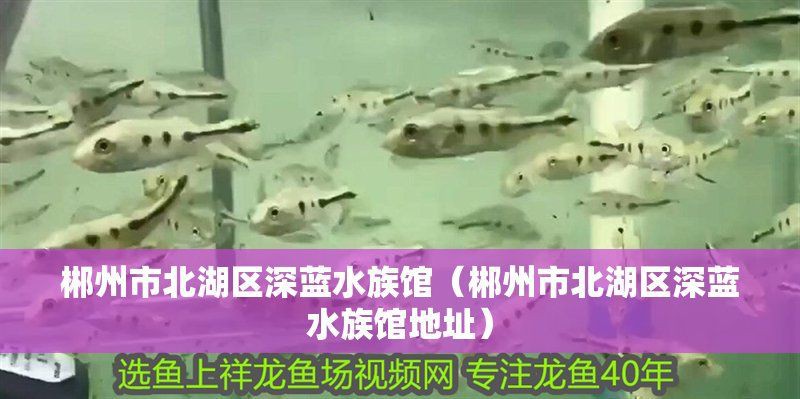 郴州水族店：郴州市南國水族館