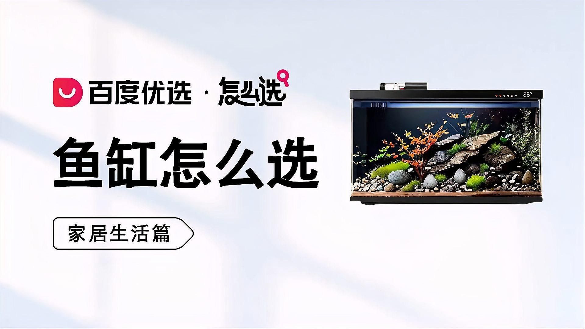 如何選擇合適的魚缸材質？：關于魚缸材質的冷知識你知道嗎各種魚缸的優缺點分享