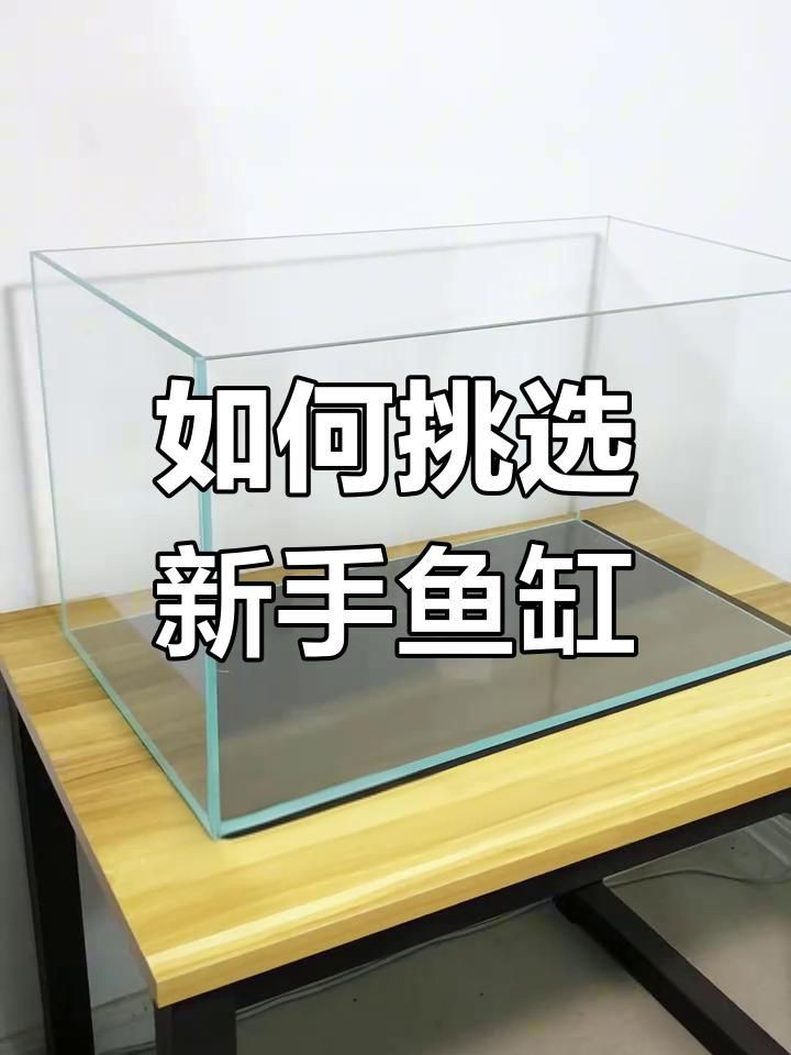 如何選擇合適的魚缸材質？：關于魚缸材質的冷知識你知道嗎各種魚缸的優缺點分享