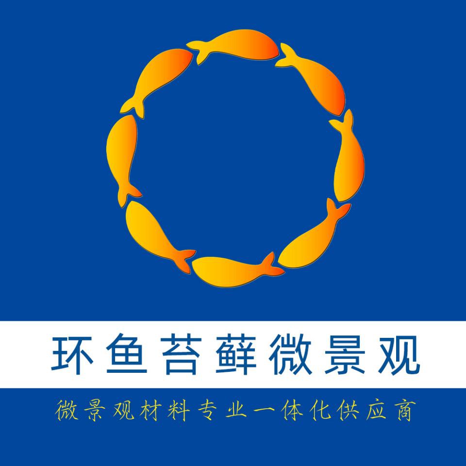 建議窮人養的10種烏龜：經濟實惠的寵物龜飼養小巧體型的愛好者8：九、鱷龜 建議窮人養的10種烏龜：經濟實惠的寵物龜飼養小巧體型的愛好者8：九、鱷龜 全國水族館企業名錄 第8張