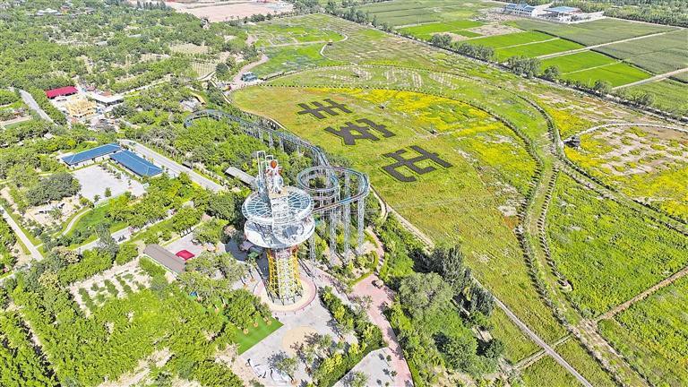 中寧龍魚店：“中寧龍魚店”命名專業龍魚貿易商可能相關的觀賞魚業態