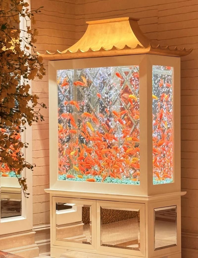 澳門魚缸批發(fā)市場：關于澳門魚缸批發(fā)市場的具體信息