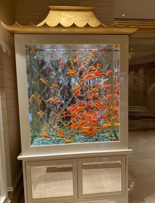 澳門魚缸批發(fā)市場：關于澳門魚缸批發(fā)市場的具體信息