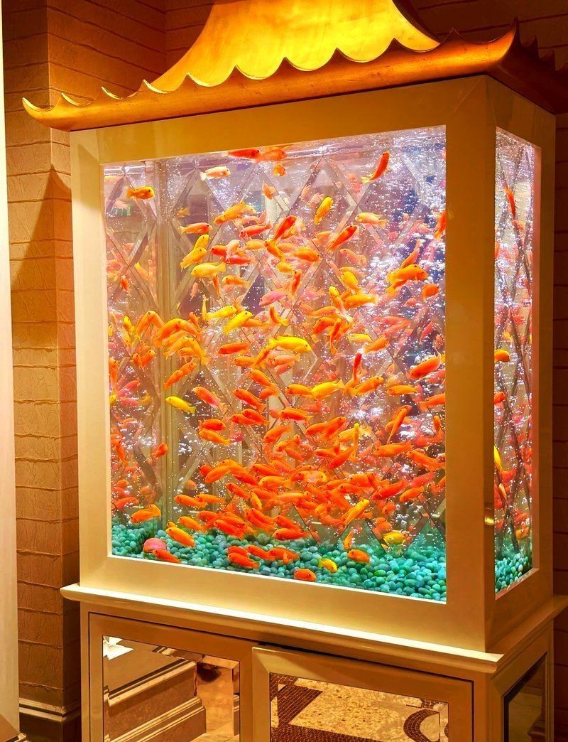 澳門魚缸批發(fā)市場：關于澳門魚缸批發(fā)市場的具體信息
