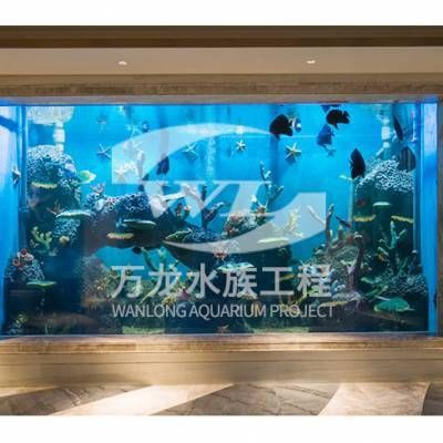 杭州魚缸批發市場：杭州魚缸批發市場全面分析