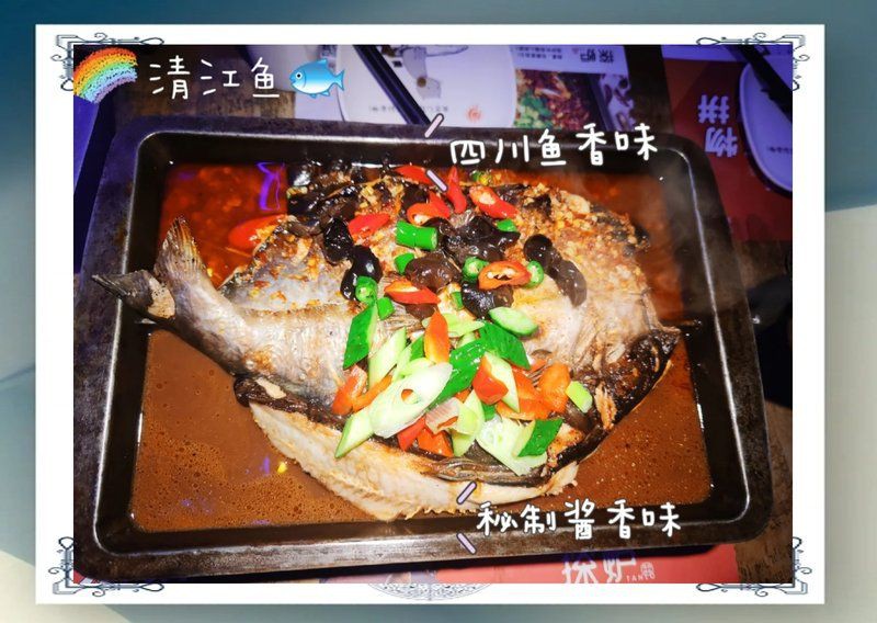 茂名龍魚店：茂名龍魚在哪里買便宜的