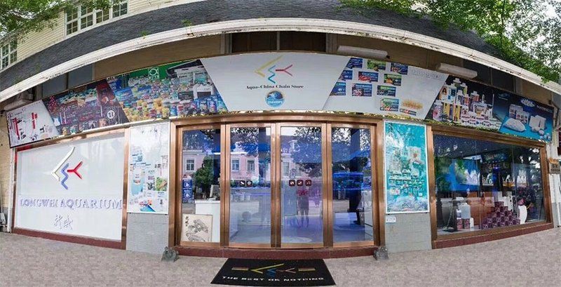 深圳魚缸定做：關(guān)于深圳魚缸定做的綜合指南結(jié)合行業(yè)標(biāo)準(zhǔn)與本地服務(wù)特色整理而成